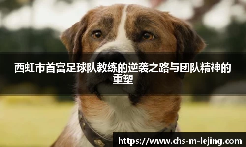 西虹市首富足球队教练的逆袭之路与团队精神的重塑